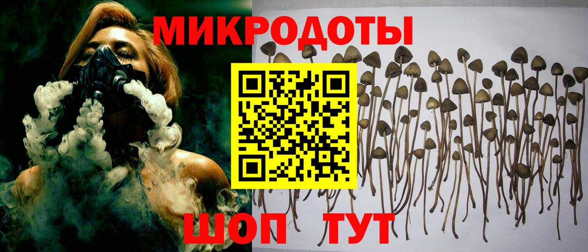 Псилоцибиновые грибы Magic Shrooms Санкт-Петербург