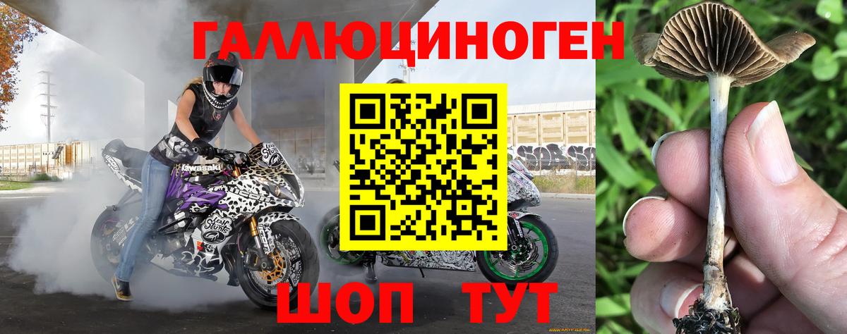 Санкт-Петербург  Галлюциногенные грибы мицелий  Вход с VPN  Псилоцибиновые грибы Magic Shrooms 